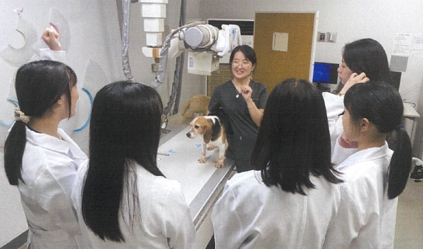 경상국립대학교 수의과대학은 지역 중·고등학생에게 수의학 전공 체험 기회를 제공하기 위해 수의학 맞춤형 체험 교육 프로그램을 운영했다. (사진제공=경상국립대학교)