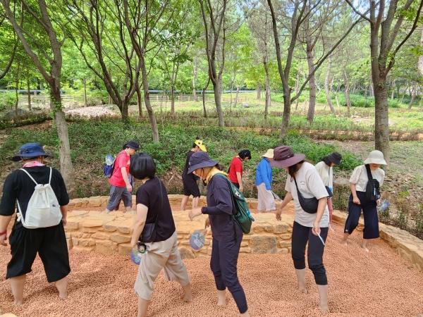 ‘월아산 숲속의 진주’