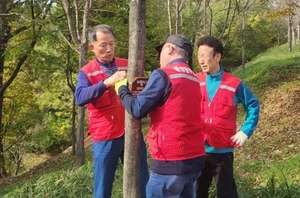 중앙동주민자치위, 비봉산 수목 ‘친환경 이름표 달기’ 행사 성료