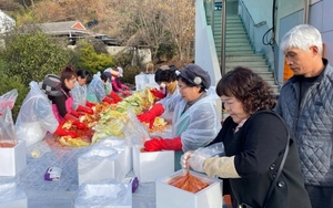 명석면 봉단협, 사랑의 김장 나눔 행사 실시